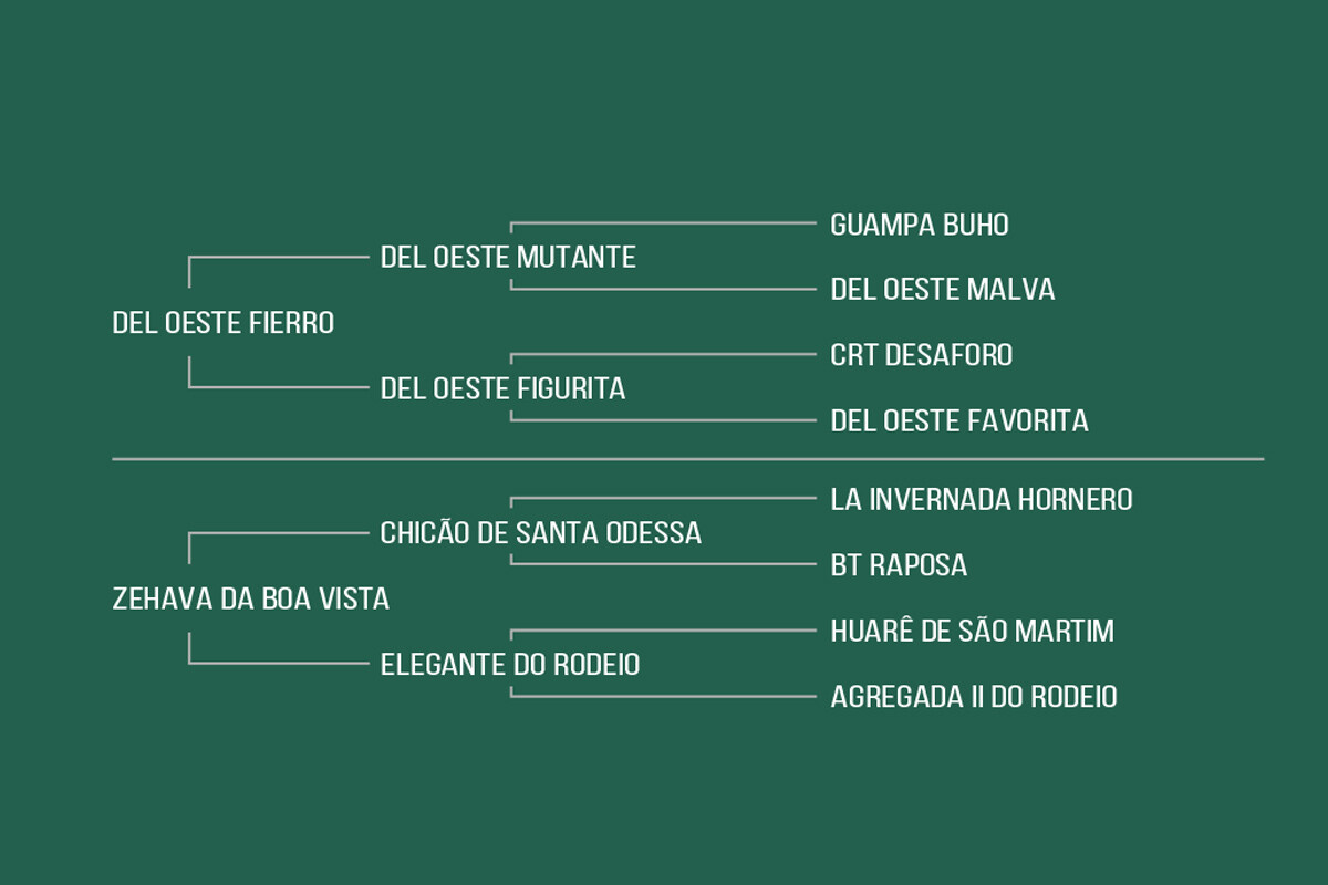 Geração XAQUIRA DA CABANHA SANTA FÉ