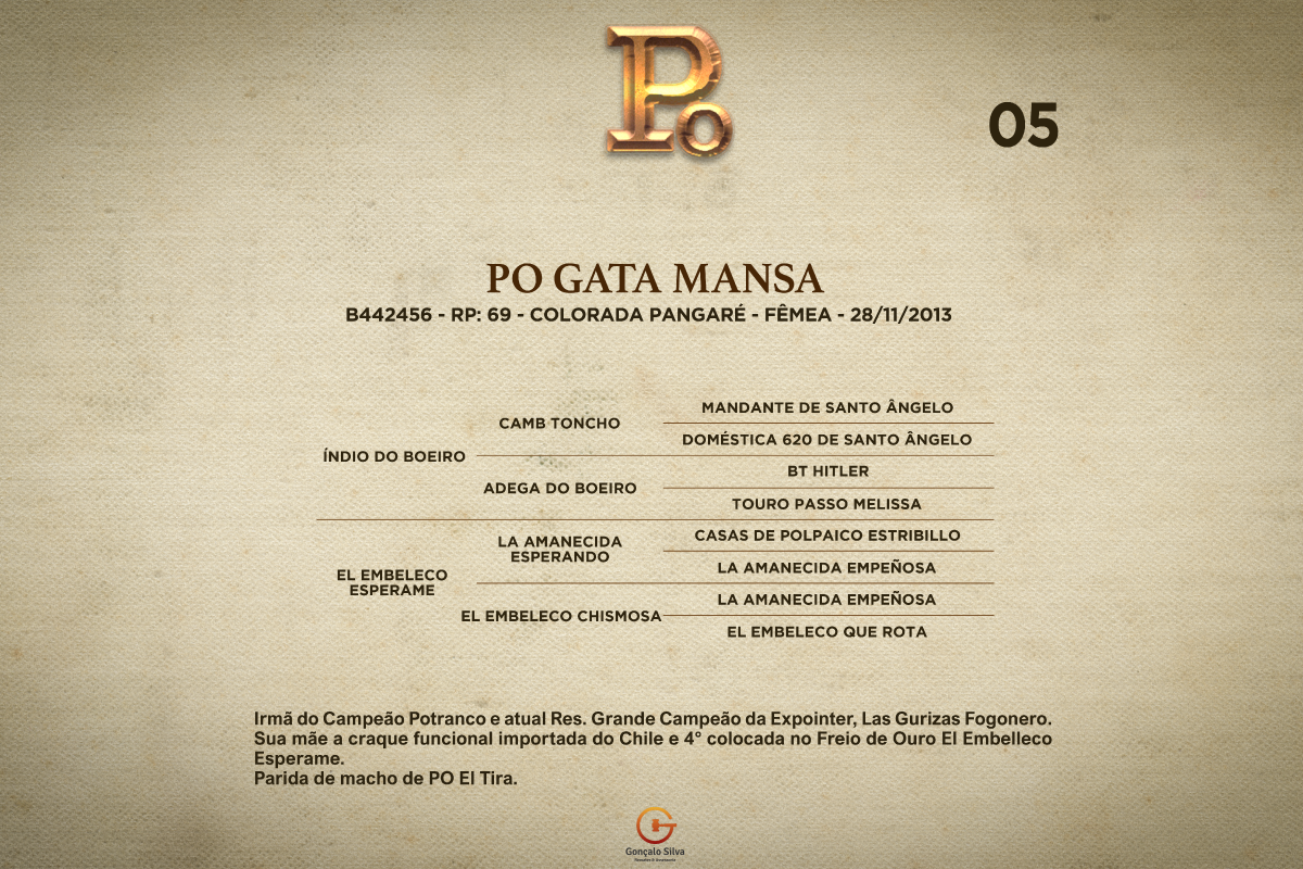 Geração PO GATA MANSA