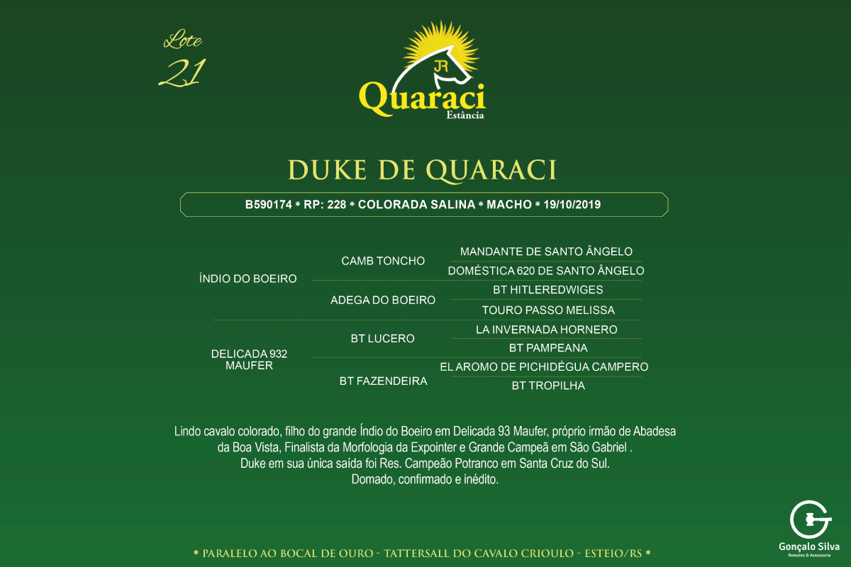 Geração DUKE DE QUARACI