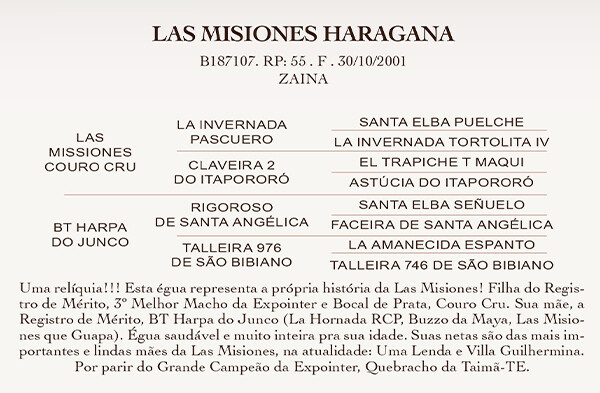 Geração LAS MISIONES HARAGANA