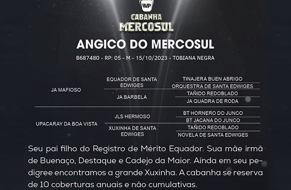 Geração ANGICO  DO MERCOSUL