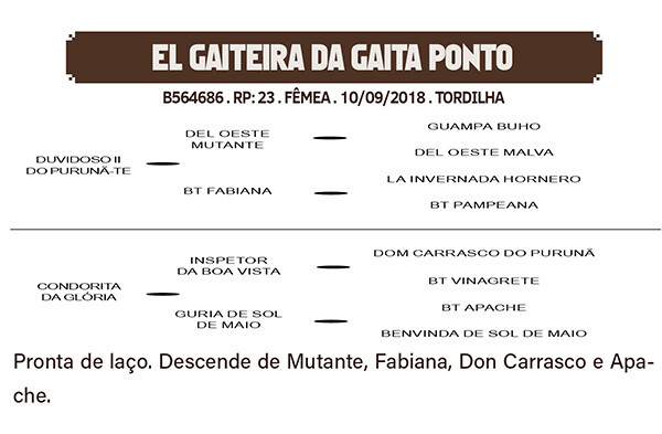 Geração EL GAITEIRA DA GAITA PONTO