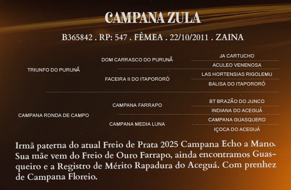 Geração CAMPANA ZULA 