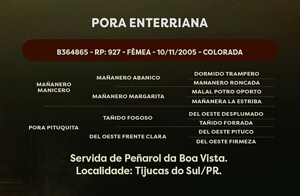 Geração PORA ENTERRIANA
