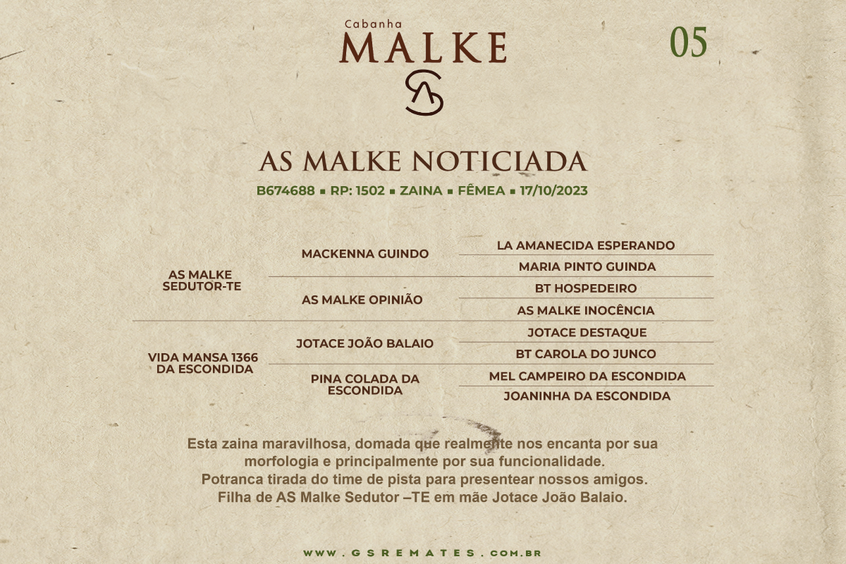 Geração AS MALKE NOTICIADA 