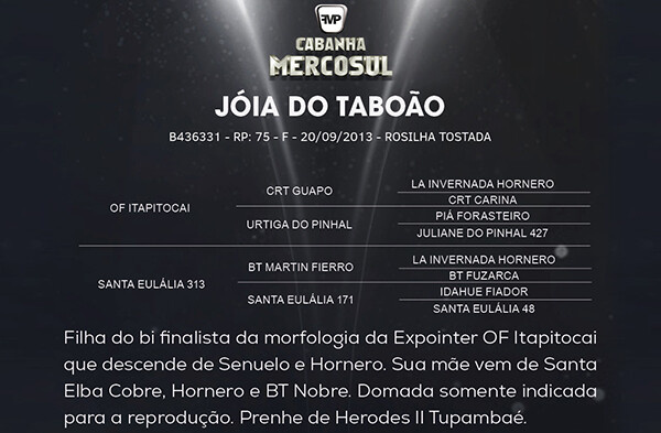 Geração JOIA DO TABOÃO 