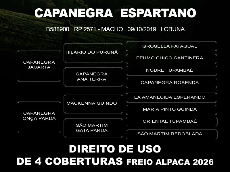 Geração DIREITO DE USO DE 4 COBERTURAS CAPANEGRA ESPARTANO OU PO BANDIDAZO 