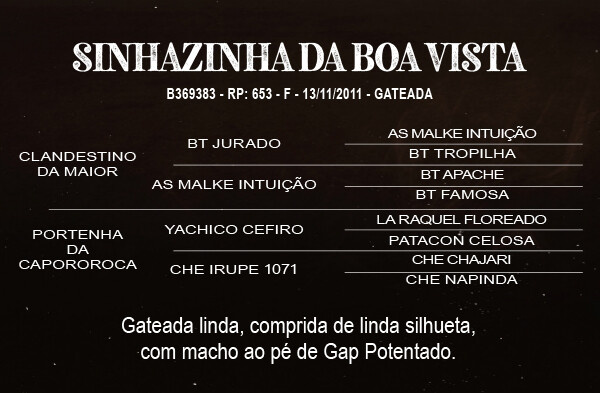 Geração SINHAZINHA DA BOA VISTA 