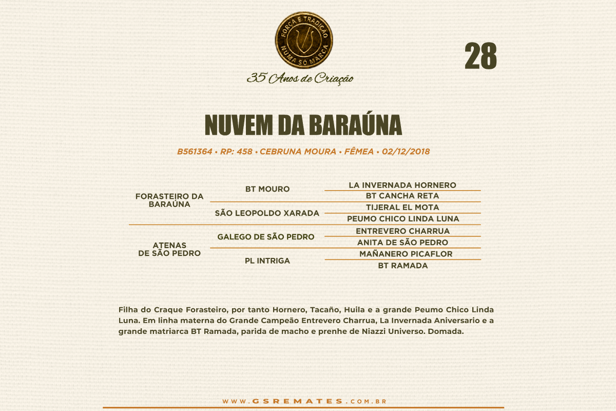 Geração NUVEM DA BARAÚNA