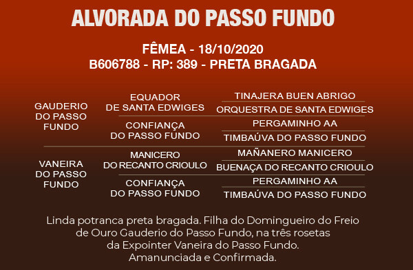 Geração ALVORADA DO PASSO FUNDO