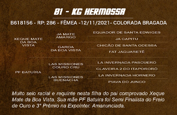 Geração KG HERMOSSA