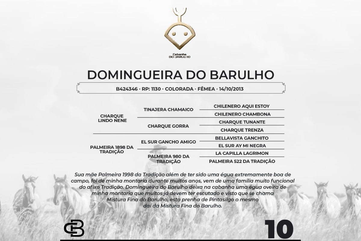 Geração DOMINGUEIRA DO BARULHO