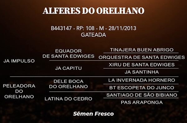 Geração ALFERES DO ORELHANO