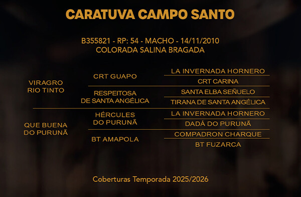 Geração CARATUVA CAMPO SANTO