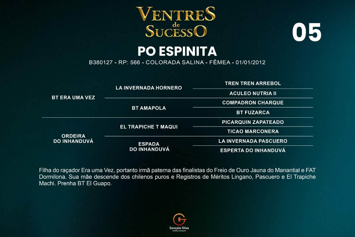 Geração PO ESPINITA 