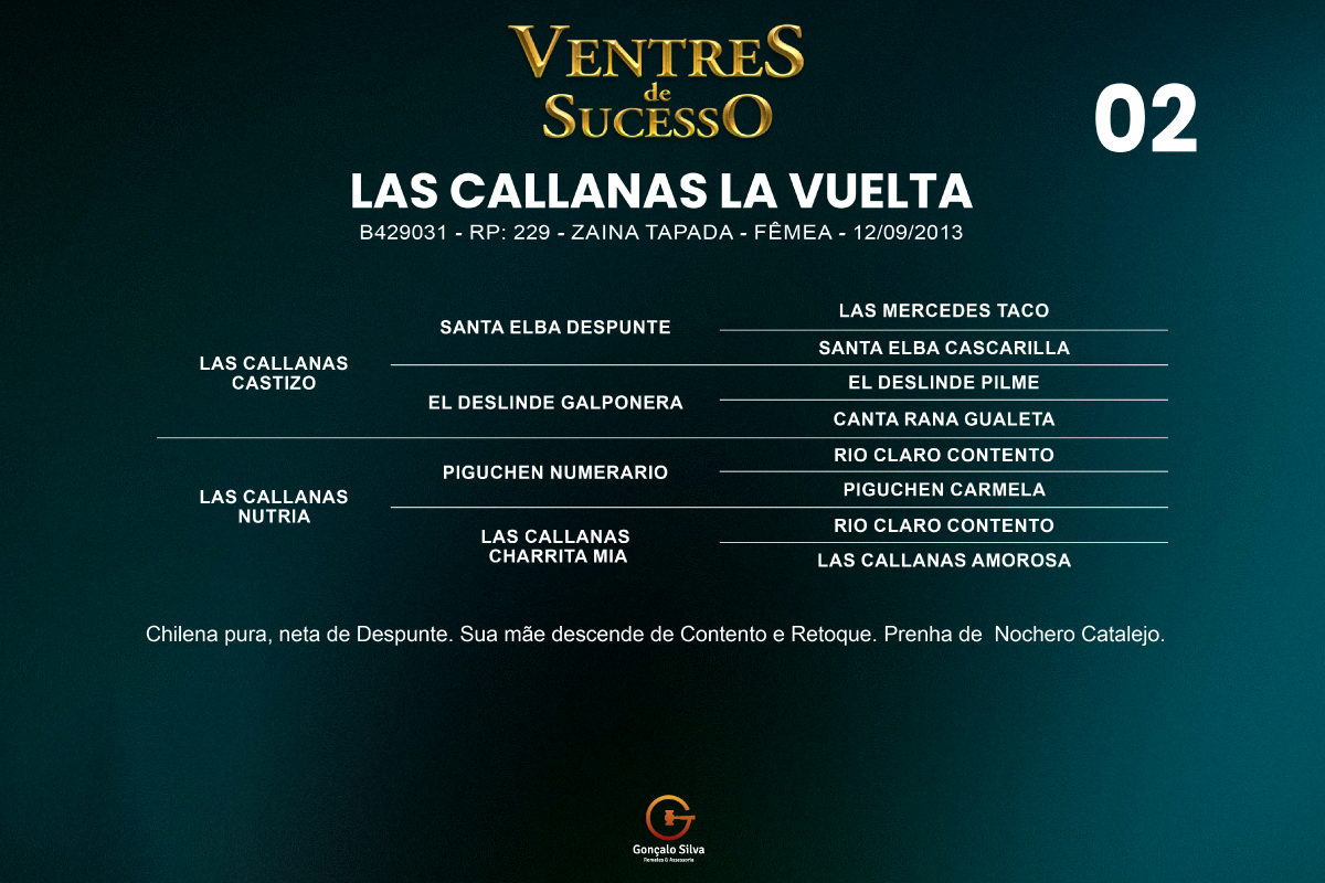 Geração LAS CALLANAS LA VUELTA 