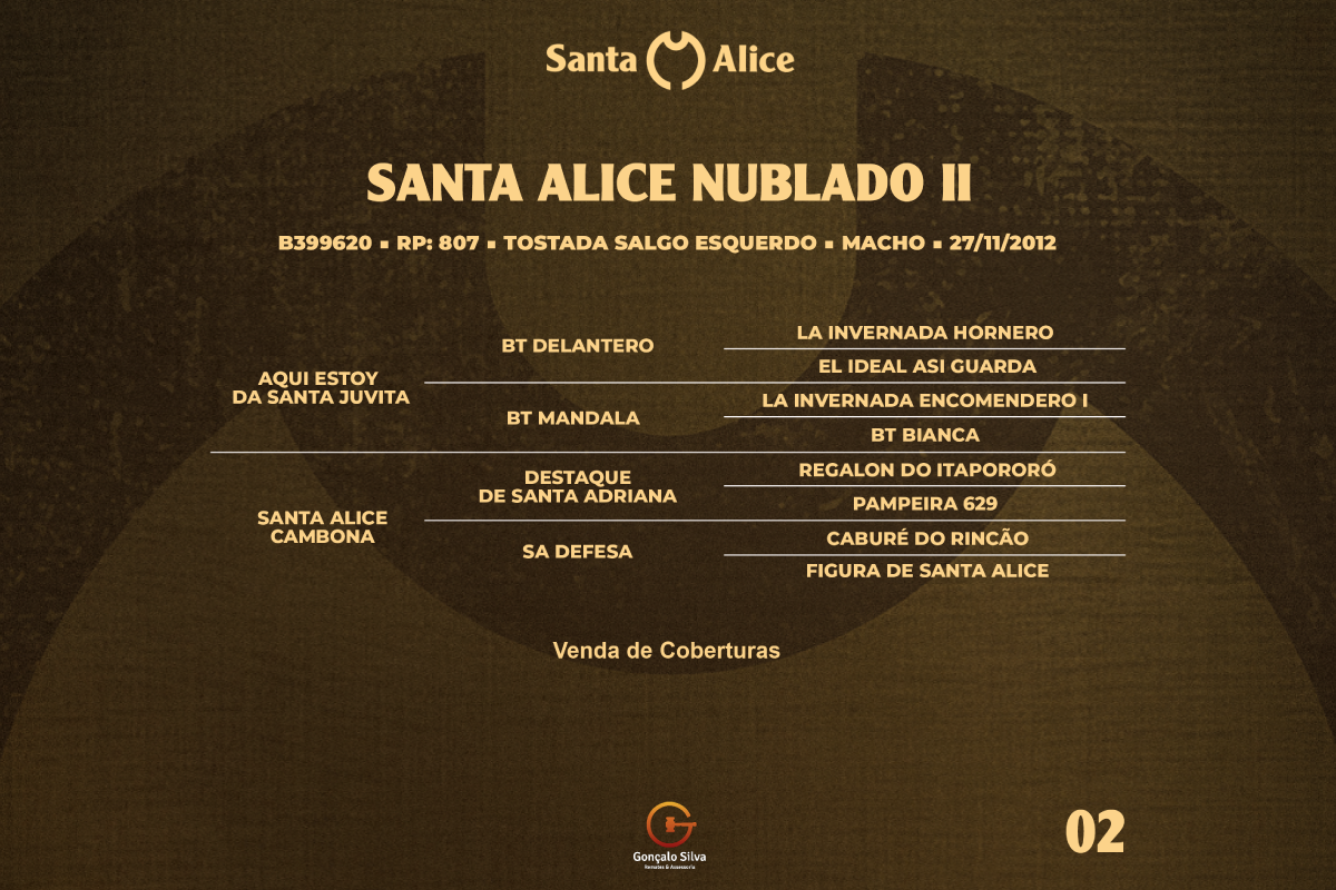 Geração COBERTURA SANTA ALICE NUBLADO II