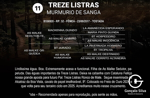 Geração TREZE LISTRAS MURMÚRIO DE SANGA