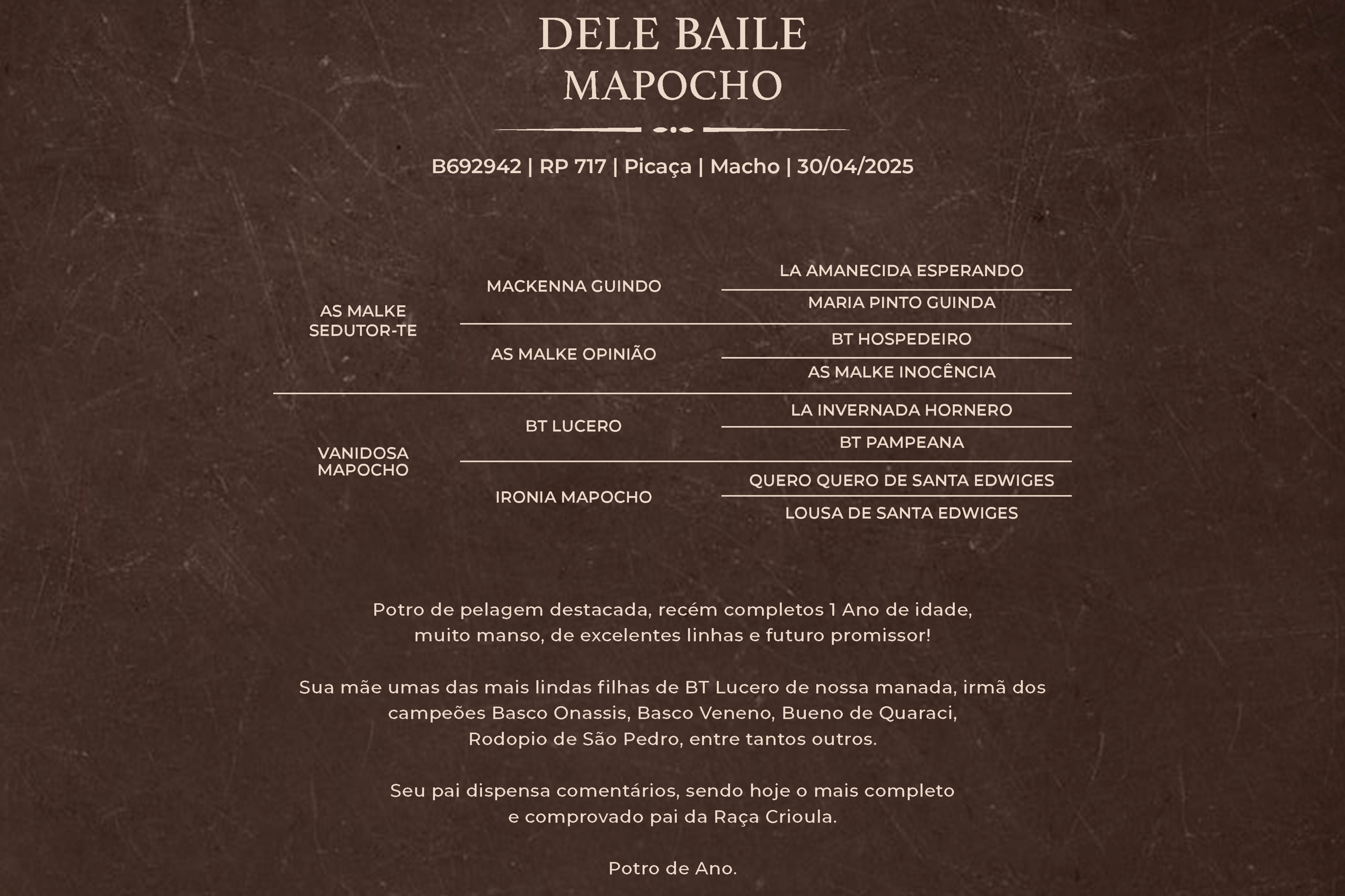 Geração DELE BAILE MAPOCHO