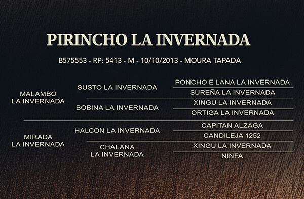 Geração PIRINCHO LA INVERNADA