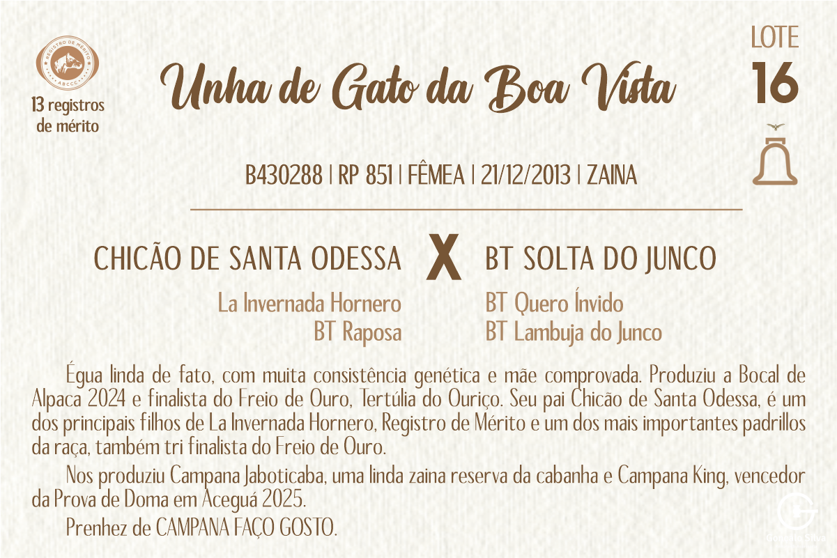 Geração UNHA DE GATO DA BOA VISTA