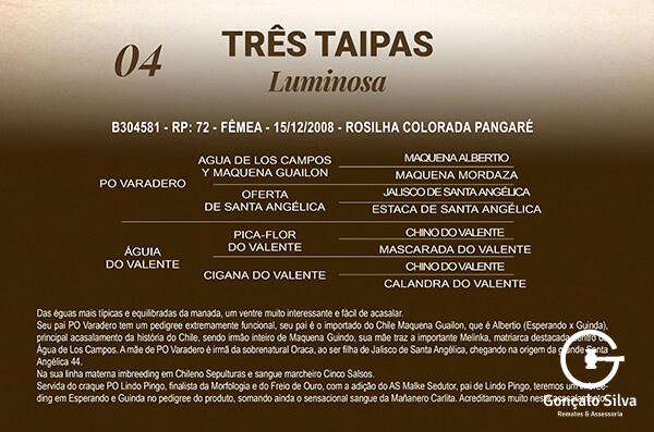 Geração TRÊS TAIPAS LUMINOSA