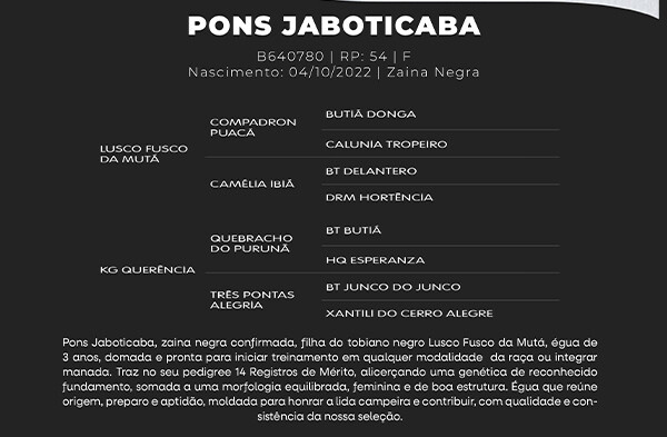 Geração PONS JABOTICABA
