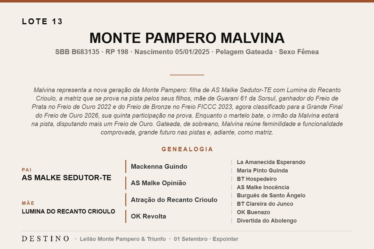 Geração MONTE PAMPERO MALVINA