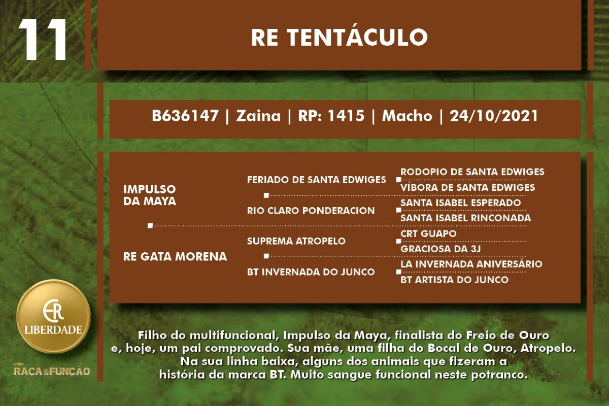 Geração RE TENTÁCULO