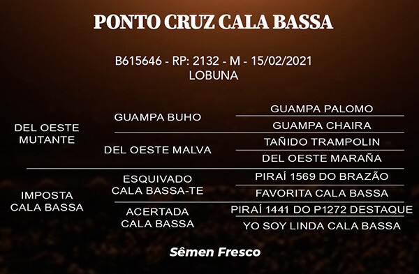 Geração PONTO CRUZ CALA BASSA 