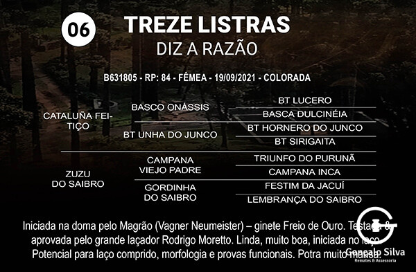 Geração TREZE LISTRAS LISTRAS DIZ A RAZÃO