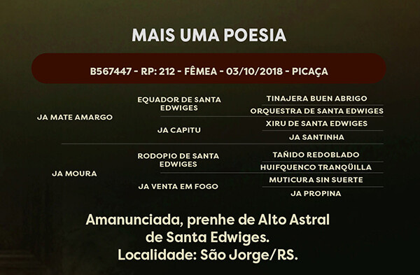 Geração MAIS UMA POESIA 