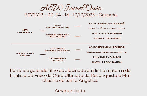 Geração ASW JAMEL OURO