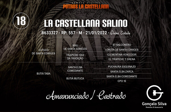 Geração LA CASTELLANA SALINO