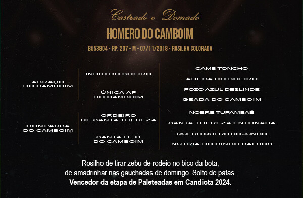 Geração HOMERO DO CAMBOIM