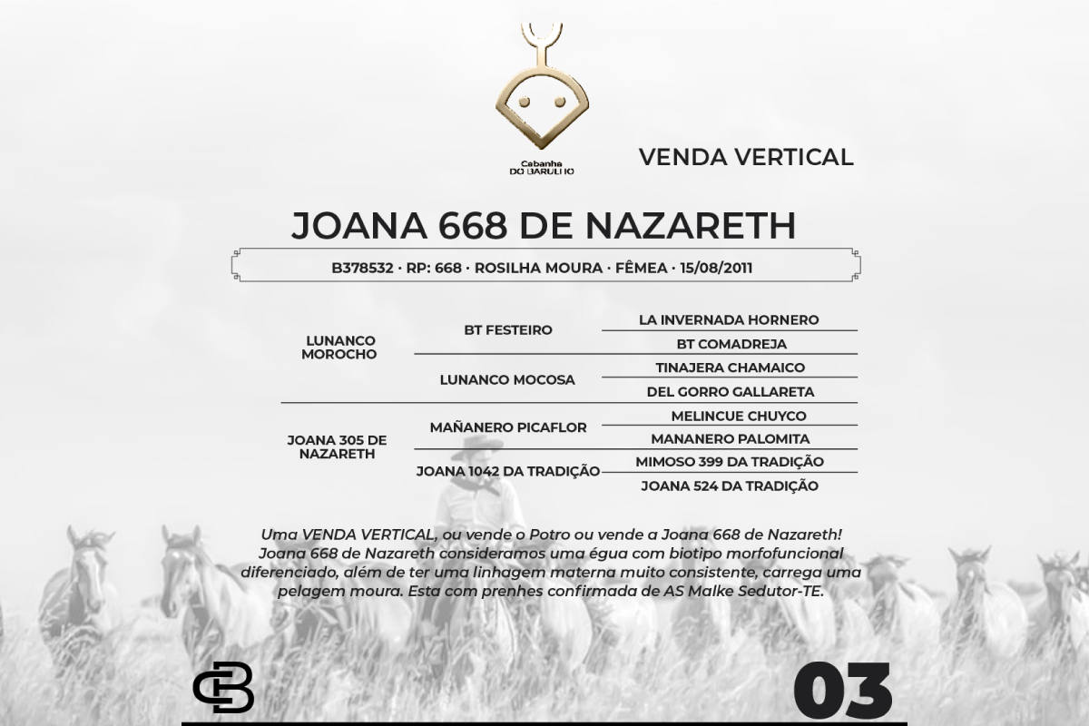 Geração VENDA VERTICAL JOANA 668 DE NAZARETH OU POTRO