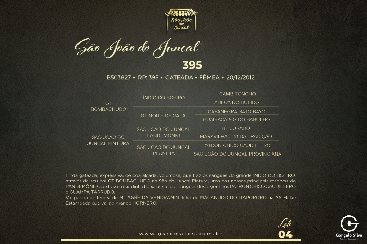 Geração SÃO JOÃO DO JUNCAL 395