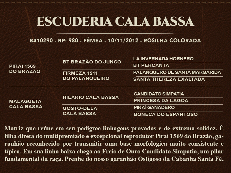 Geração ESCUDERIA CALA BASSA