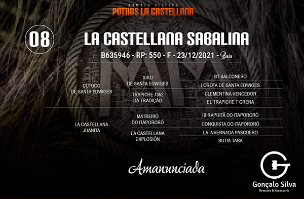 Geração LA CASTELLANA SABALINA