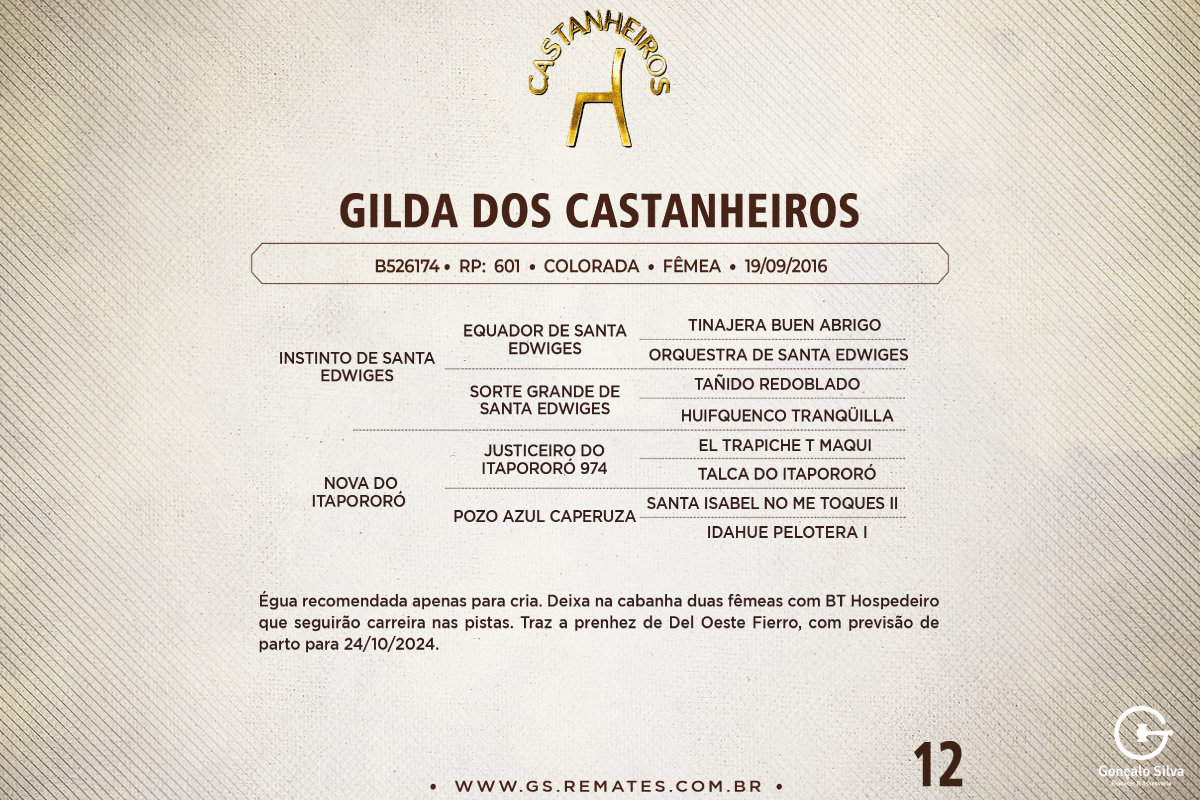 Geração GILDA DOS CASTANHEIROS