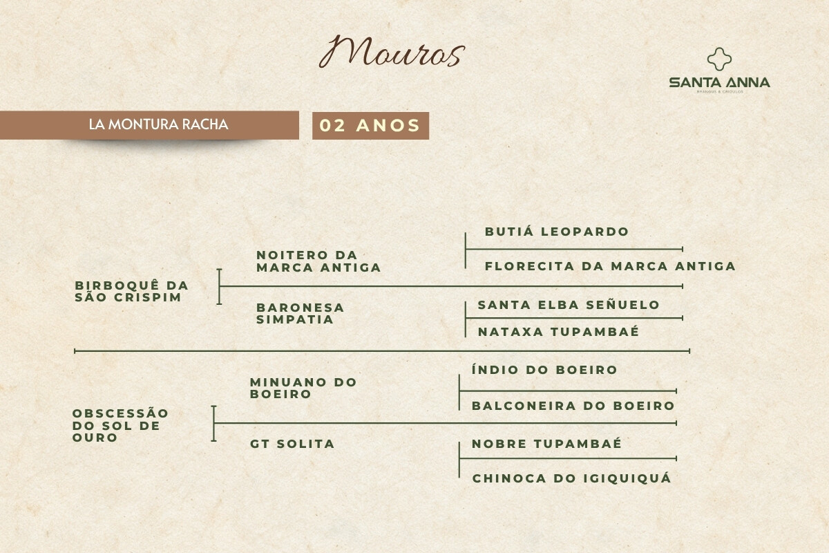 Geração LA MONTURA RACHA