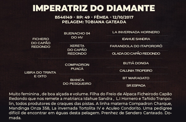 Geração IMPERATRIZ DO DIAMANTE