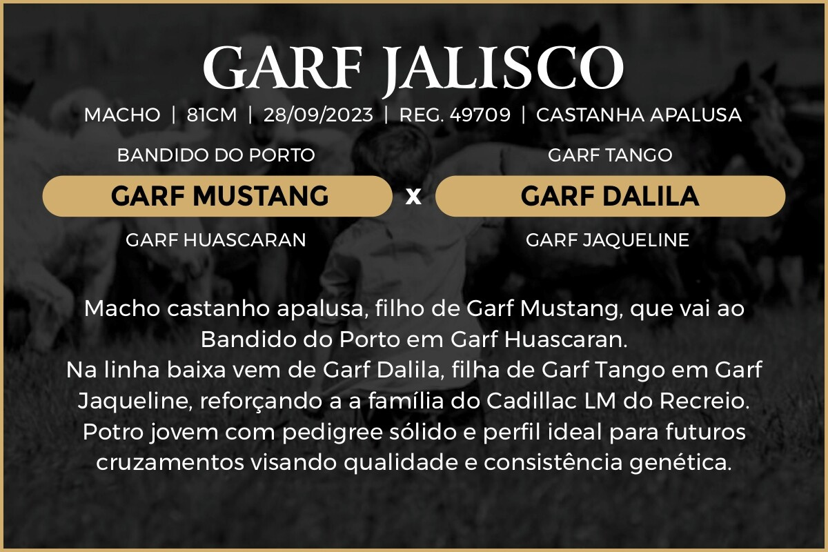 Geração GARF JALISCO 