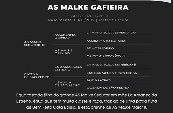 Geração AS MALKE GAFIEIRA