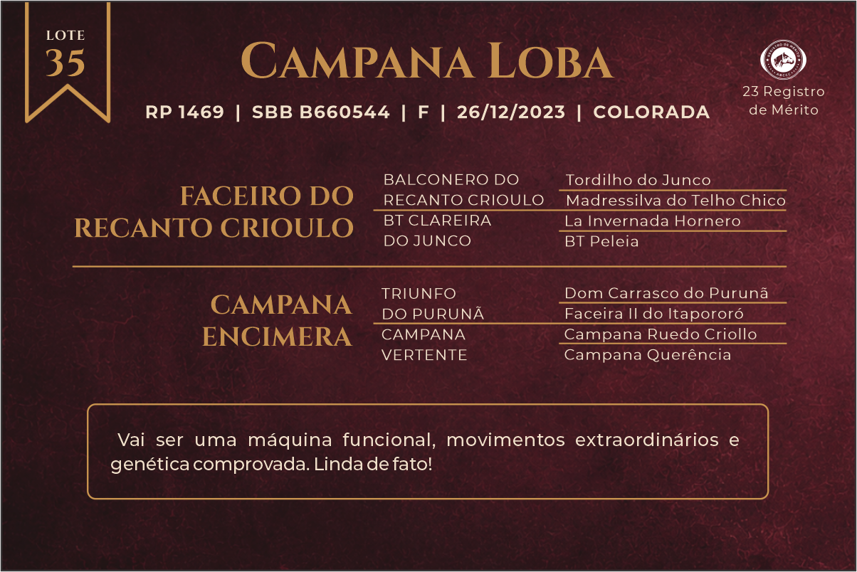 Geração CAMPANA LOBA