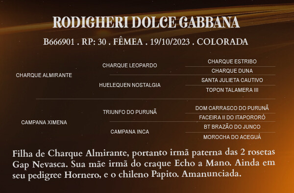 Geração RODIGHERI DOLCE GABANA