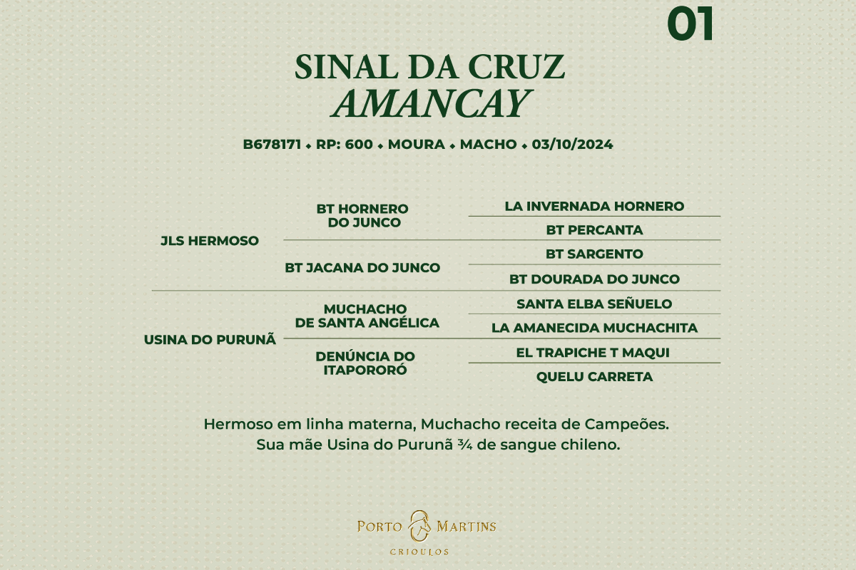 Geração SINAL CRUZ AMANCAY