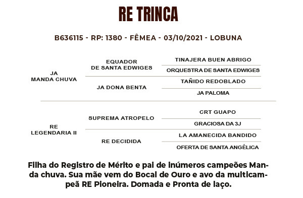 Geração RE TRINCA