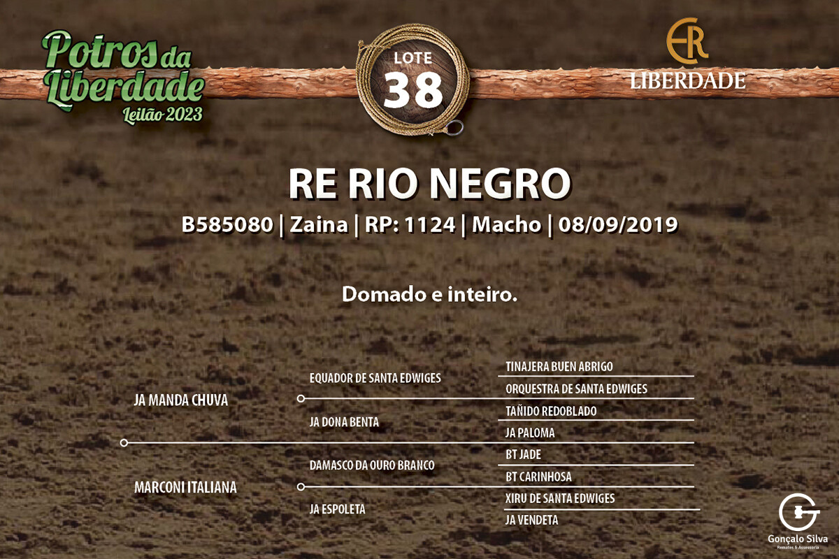 Geração RE RIO NEGRO