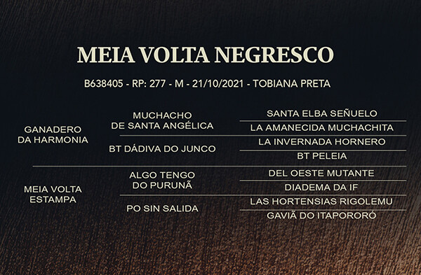 Geração MEIA VOLTA NEGRESCO